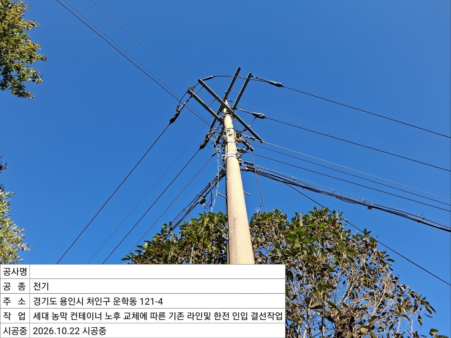 ▲ 전신주 주변 인입 라인 정비 중